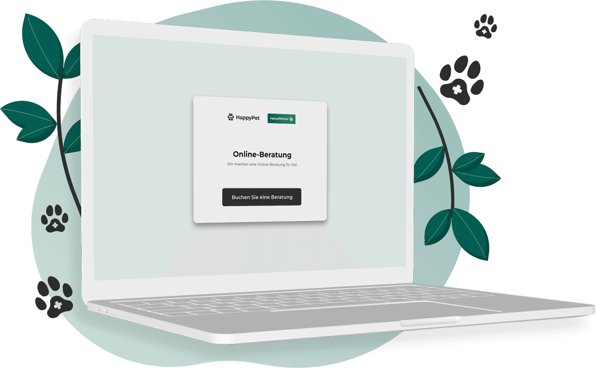 online-beratung